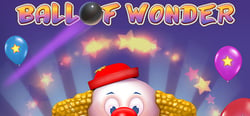 Ball of Wonder header banner