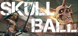 Skull Ball Heroes header banner