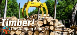 Timber! The Logging Experts header banner