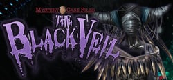 Mystery Case Files: The Black Veil Collector's Edition header banner