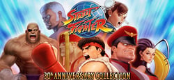 Street Fighter 30th Anniversary Collection header banner