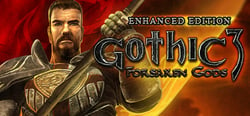 Gothic 3: Forsaken Gods Enhanced Edition header banner