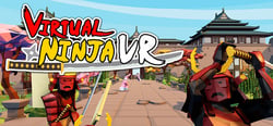 Virtual Ninja VR header banner