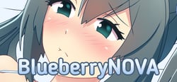 BlueberryNOVA header banner