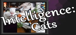 Intelligence: Cats header banner