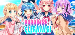 Paradise Cleaning! header banner