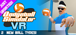 Dodgeball Simulator VR header banner