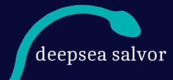 Deepsea Salvor header banner