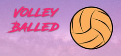 Volleyballed header banner