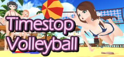 Timestop Volleyball header banner