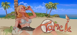 Tame It! header banner