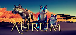 AURUM header banner