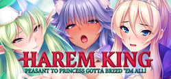 Harem King: Peasant to Princess Gotta Breed 'Em All! header banner