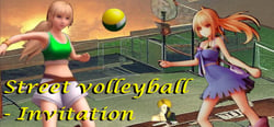 Street volleyball - Invitation header banner