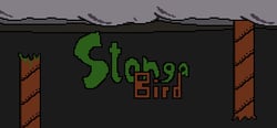 Stonga Bird header banner