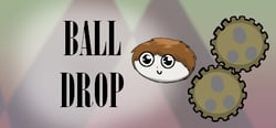 Ball Drop header banner