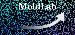 MoldLab header banner
