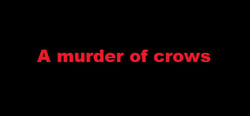 A murder of crows header banner