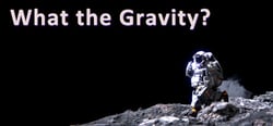 What The Gravity header banner