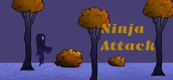 Ninja Attack header banner