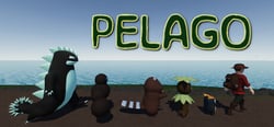 Pelago header banner