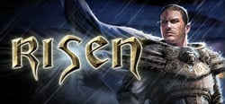 Risen header banner