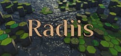 Radiis header banner