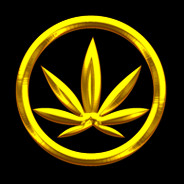 Weed Shop 2 Steam Charts and Player Count Stats