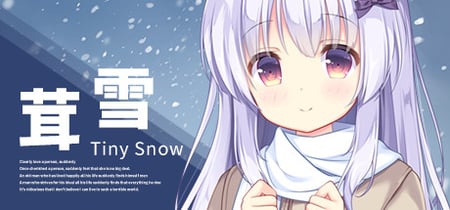 Tiny Snow banner