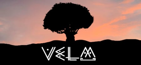 VeLM banner