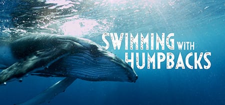 Swimming with Humpbacks banner