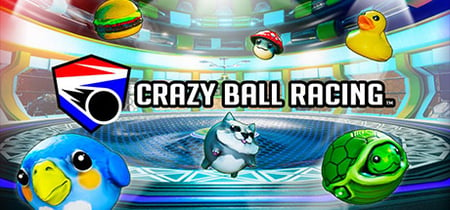Crazy Ball Racing™ banner