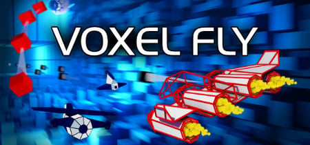 Voxel Fly banner