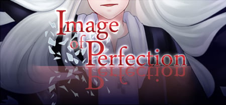 Image of Perfection banner