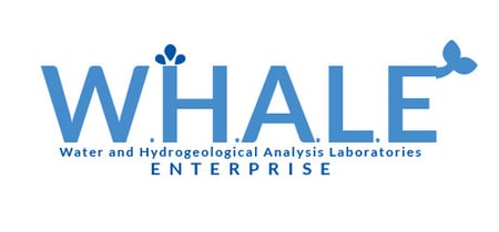 W.H.A.L.E. banner