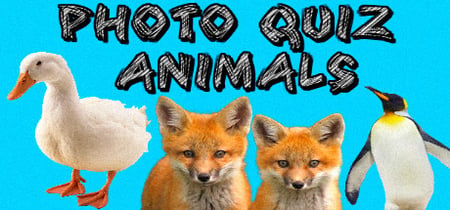 Photo Quiz - Animals banner