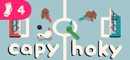 capy hoky banner