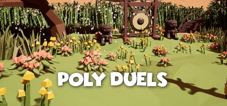 Poly Duels banner