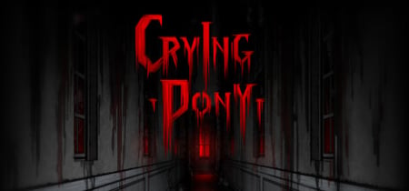 Crying Pony banner
