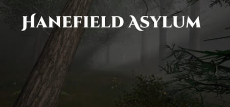 Hanefield Asylum banner
