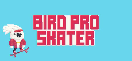 Bird Pro Skater banner