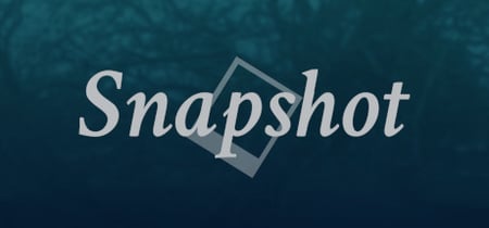 Snapshot banner