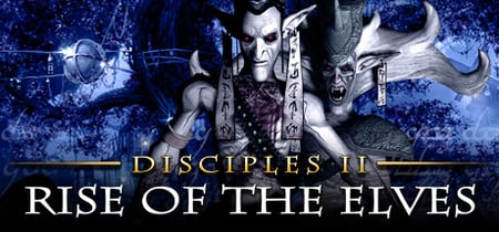 Disciples II: Rise of the Elves  banner