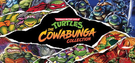 Teenage Mutant Ninja Turtles: The Cowabunga Collection banner