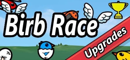 Birb Race banner