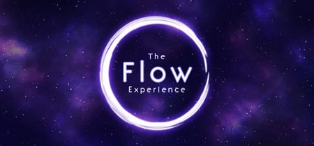 The Flow Experience banner