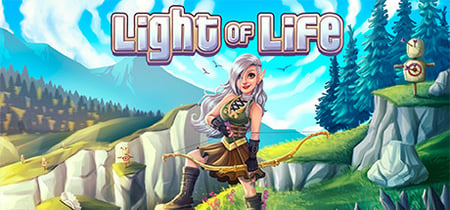 Light of Life banner