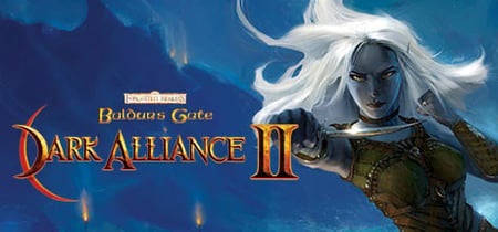 Baldur's Gate: Dark Alliance II banner
