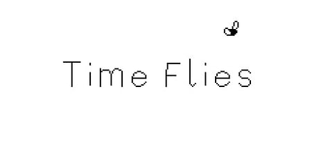 Time Flies banner