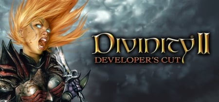 Divinity II: Developer's Cut banner